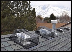 Roof vent guard that excludes squirrels